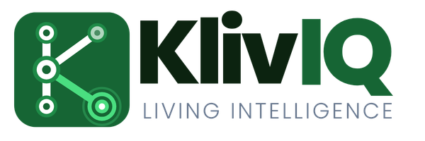 KlivIQ — AI Business Solutions